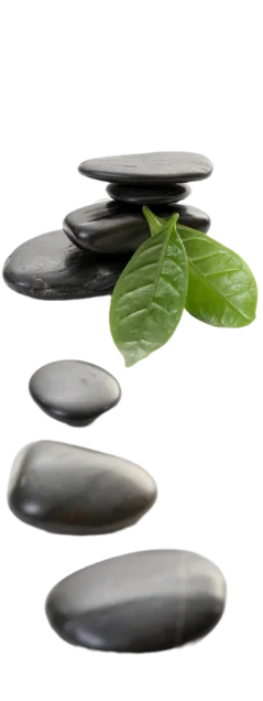 shape